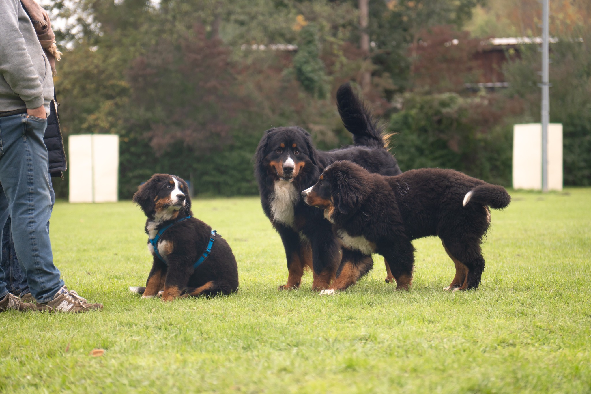 Bärenschmiede Treffen A-H